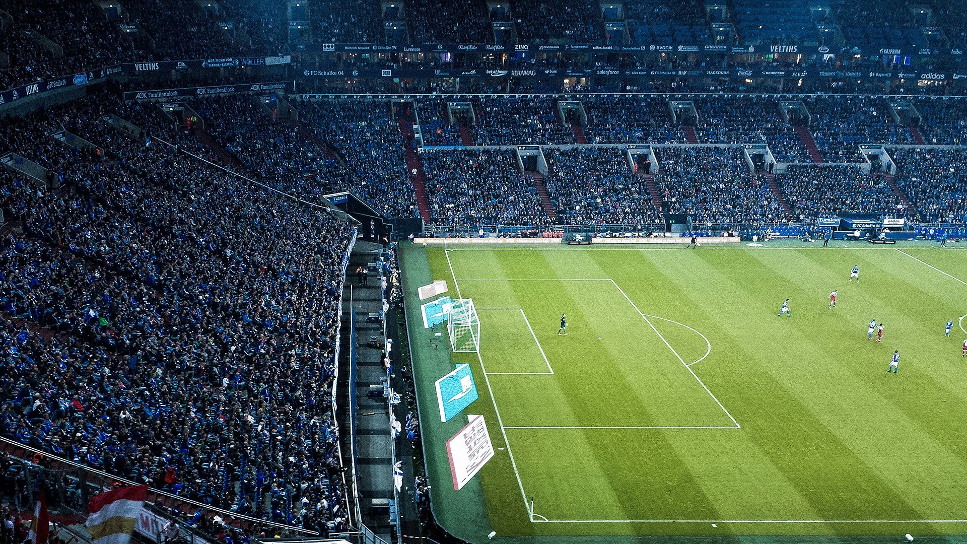 _杜鹃花海中的瑜伽:与自然相融合_,杜鹃花 户外