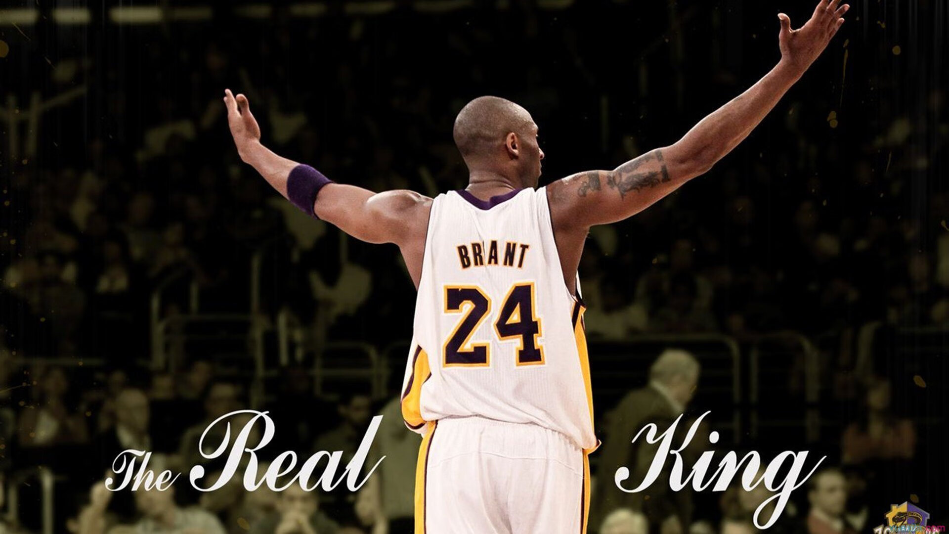 【策略剖析】马克·塞尔比:如何用防守遏制对手攻势?,马克,塞尔比