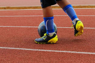 开云体育手机版下载-中国青少年篮球运动员体能素质发展规律，我国篮球青少年运动发展现状